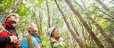 Il Parco Nazionale della Terra del Fuoco