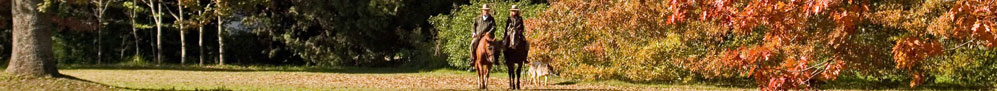 Viaggi Argentina > Incanevole Estancia - &copy; archivio Ruta 40 -