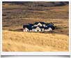 Eolo - � archivio Ruta 40 -