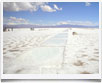 Argentina Nord Salinas - � archivio Ruta 40 -