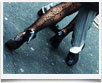 Argentina Tango - � archivio Ruta 40 -