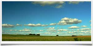 Uruguay Tipico Paesaggio - � Gonzalo Viera Azpiroz -